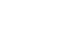 Blood Vision
